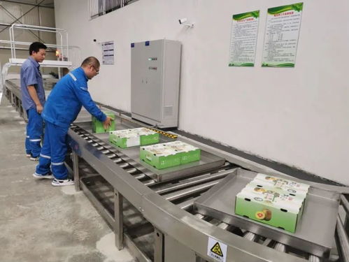 治愈系云游 廣西風情瑤鄉(xiāng)的美麗蝶變與廣東省基礎(chǔ)電信業(yè)務(wù)新篇章